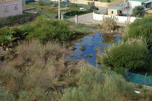 Puerto de Santa María (Cádiz)
