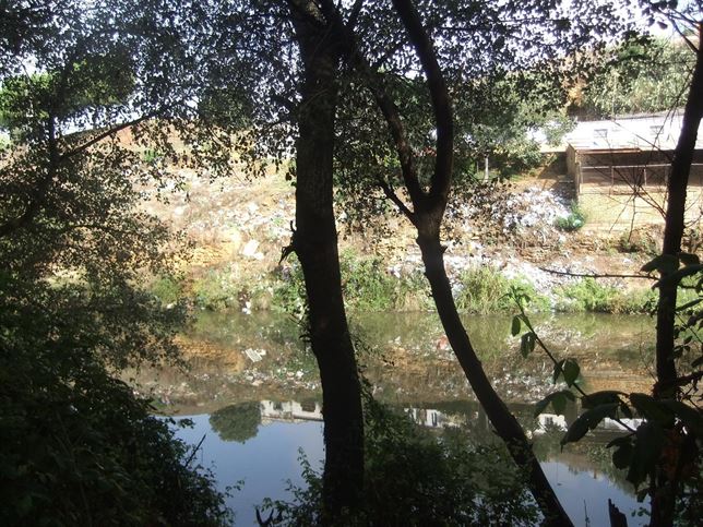 Vertedero ilegal de residuos junto a la ribera del Guadaíra