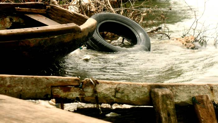 Acaba con las injusticias: Máster Internacional en Derecho Ambiental