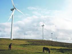 Ya tiene declaración de impacto ambiental positivo el mayor proyecto eólico de Puerto Rico