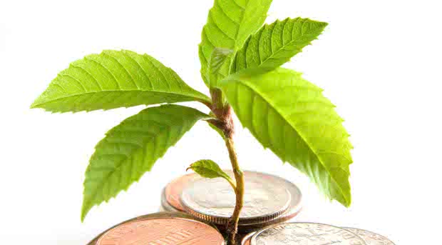 Hacia una economía verde: Guía para el desarrollo sostenible y la erradicación de la pobreza