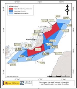 Ecologistas critican que el Gobierno de Canarias "recorte" el área a proteger en aguas de Lanzarote y Fuerteventura