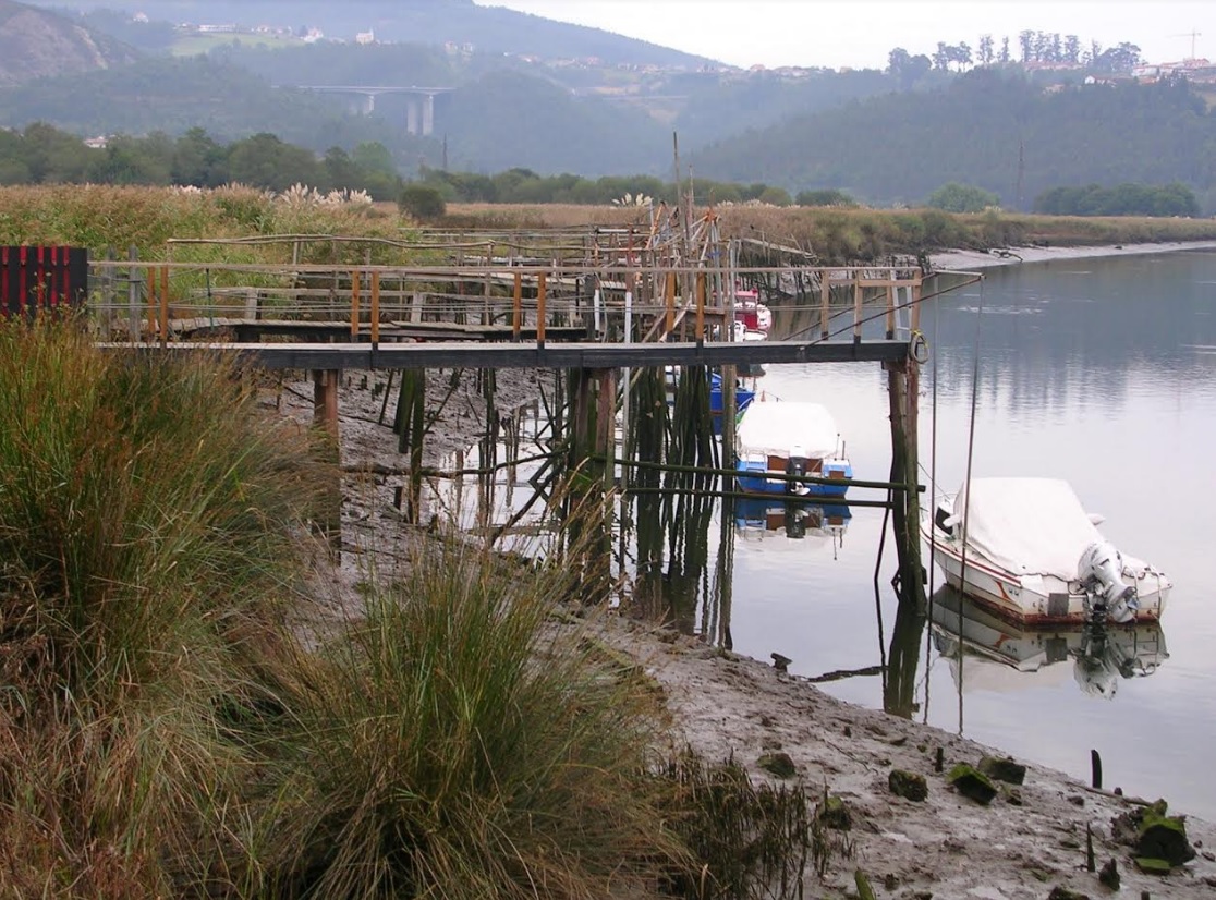 El Principado de Asturias apuesta por acabar con la angula y con la anguila
