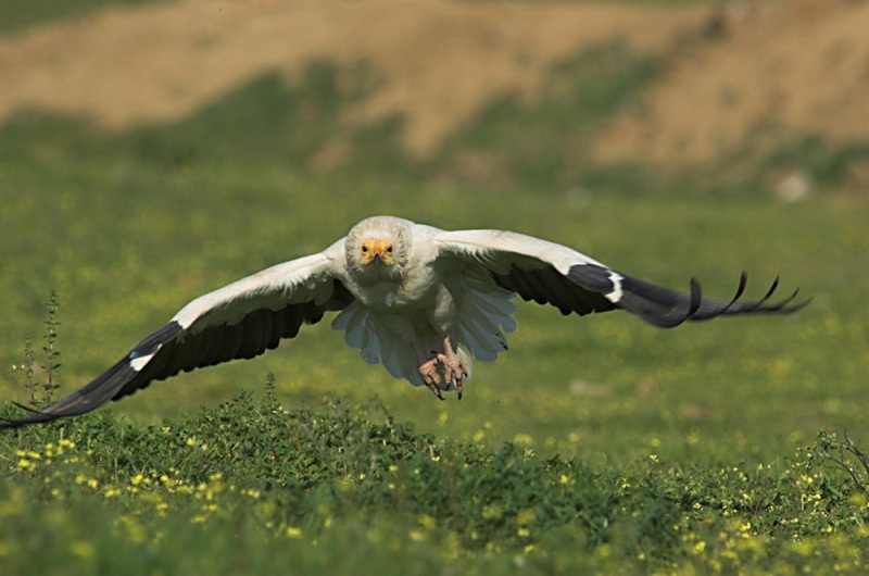 II jornadas formativas: proyecto “muladares sociales”