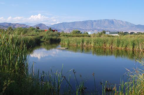 Medio Ambiente garantiza la conservación y el alto valor ecológico de la Charca de Suárez