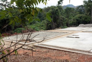 En Venezuela deforestan Área Protegida para construcción de viviendas