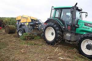 Innovador proyecto pretende convertir la pica-pica en energía eléctrica en La Araucanía