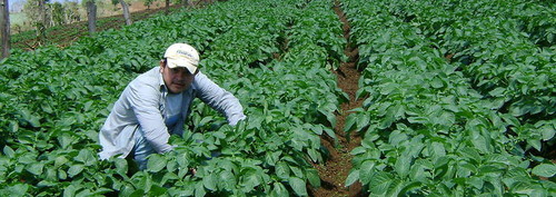 Propuestas para el corredor seco de El Salvador