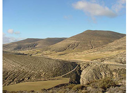 Lucha contra la Desertificación