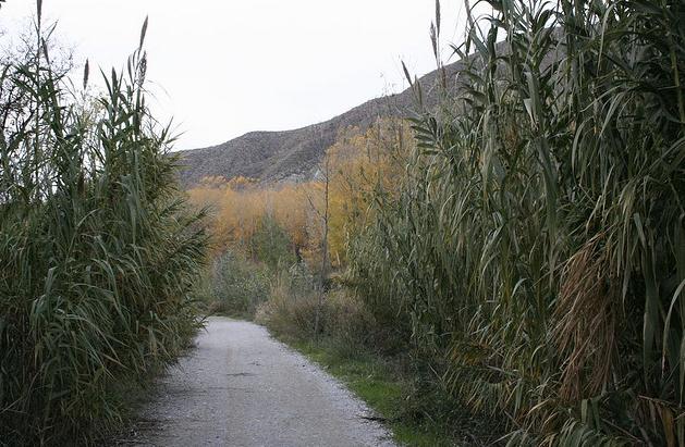 Medio Ambiente realiza el estudio de las aguas andaluzas para conservar los ecosistemas acuáticos y proteger a los bañistas