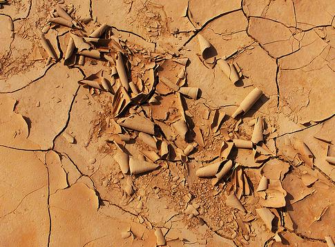 La erosión del suelo provocará la migración de 135 millones de personas en la próxima década