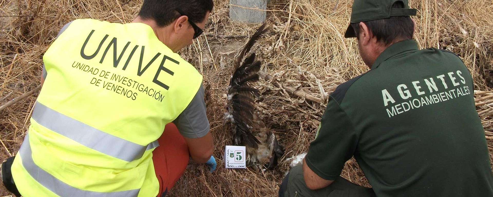 El veneno un problema que preocupa