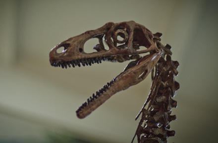 Presentan a Bicentenaria argentina