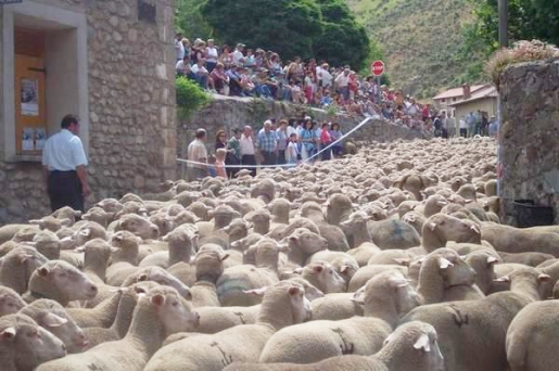 TRASHUMANCIA Biodiversidad