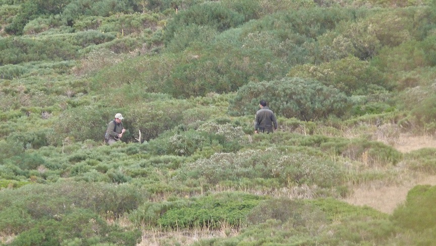 Se sorprende a un guarda de Cantabria cazando en palencia