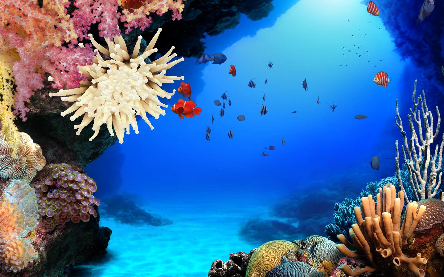 Un proyecto para controlar la contaminación acústica marina