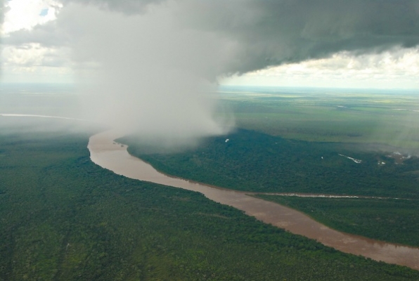 La deforestación del Amazonas afecta las precipitaciones en la Argentina