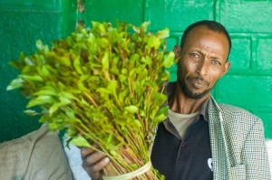 El cultivo de qat en Etiopía alimenta la economía y reduce la deforestación