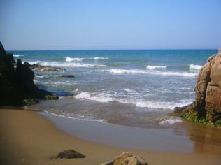 Bruselas destinará 34 millones para proteger la costa argelina y preservar su biodiversidad