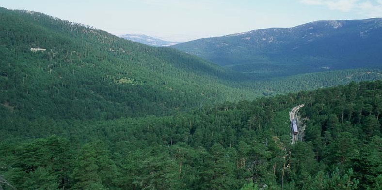 Medio Ambiente destina 3