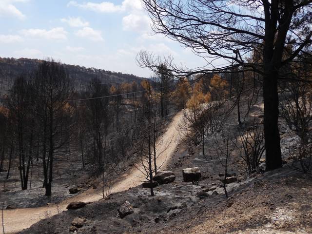 El incendio de La Gomera baja al nivel 1