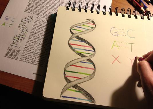 Una bacteria es el primer organismo vivo encabeza el Top Ten de la vida