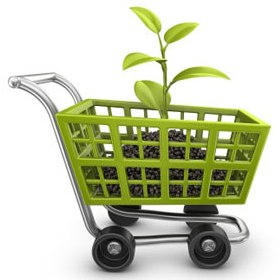 Conociendo de cerca la Compra Pública Verde y sus oportunidades de empleo