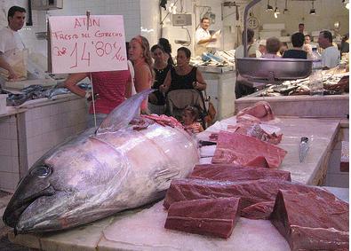 Ecologistas critican que la CE quiera aplazar un año la prohibición del comercio internacional del atún rojo