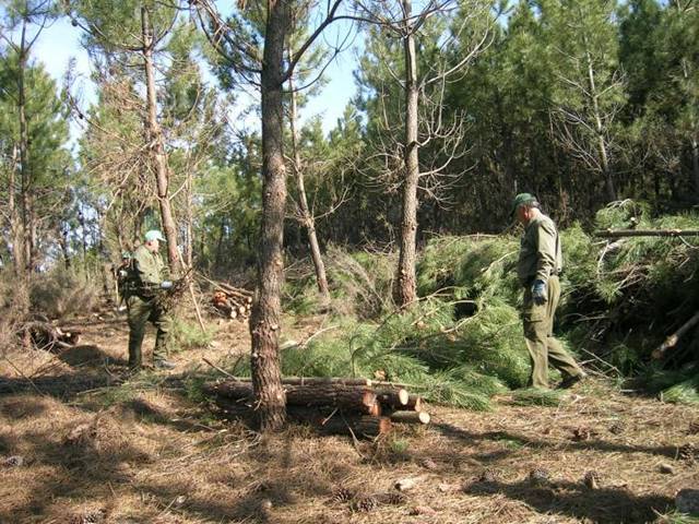 Andalucía destina más de 5 millones a obras forestales