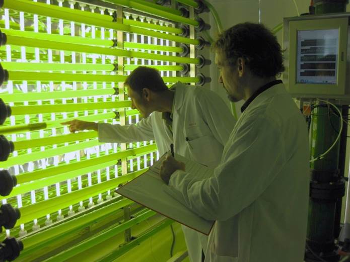 Conoce a fondo el proyecto CO2Algaefix