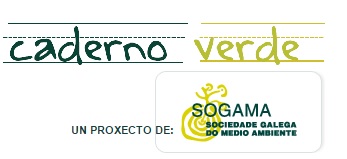 ‘Hacia la sostenibilidad en la gestión de la basura doméstica’ el curso de SOGAMA para los ayuntamientos gallegos