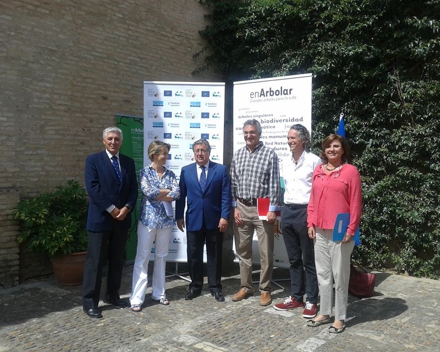 Inaugurada en Sevilla la exposición EnArbolar