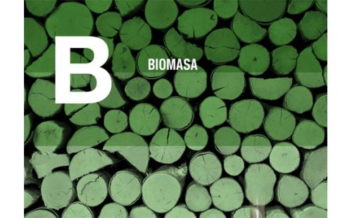 Biomasa + Biomasa + Biomasa