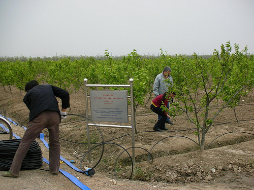 Nuevo patrón climático trastorna agricultura