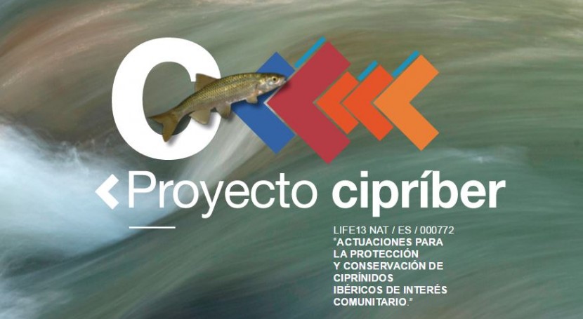 La CH Duero y Castilla y León colaborarán en el Proyecto Life+ Cipriber
