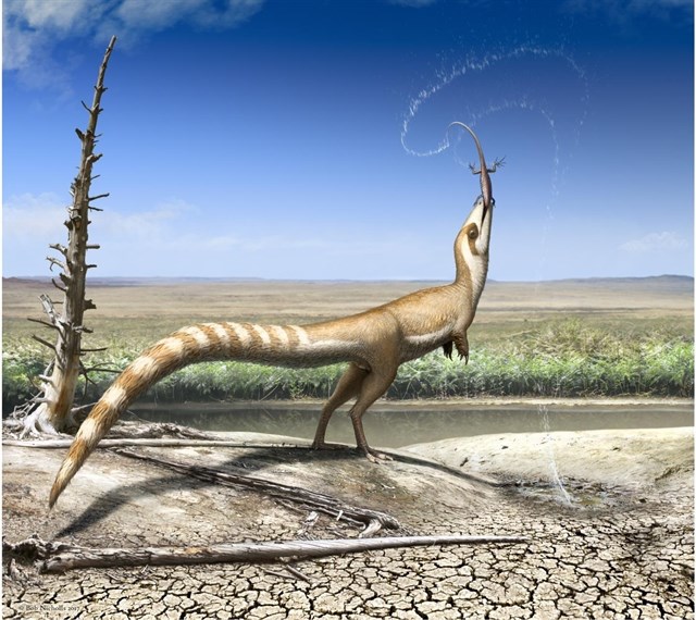 El zorro de los dinosaurios Sinosauropteryx lucía antifaz