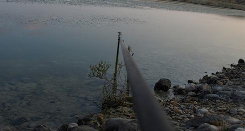 Construyen una balsa "ilegal" de riego en Doñana