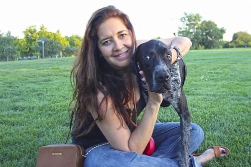 Animales abandonados