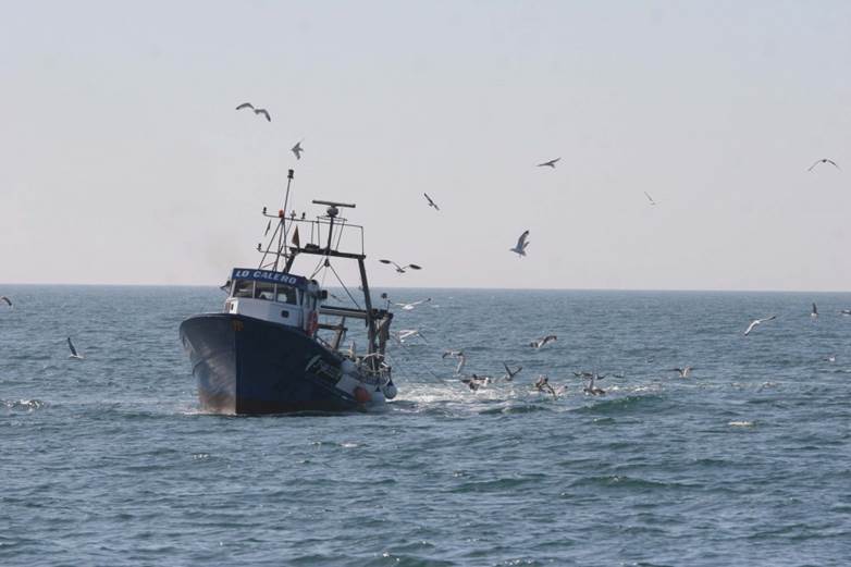 España presenta un conjunto de medidas para recuperar los recursos del Mediterráneo