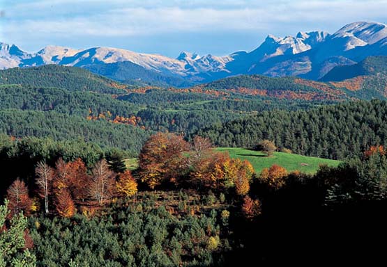 Aumenta la protección de tres parajes del Valle de Roncal