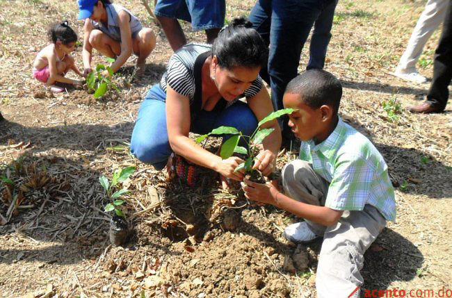 Empresa chilena compensa emisiones de CO2 con plantación de árboles nativos