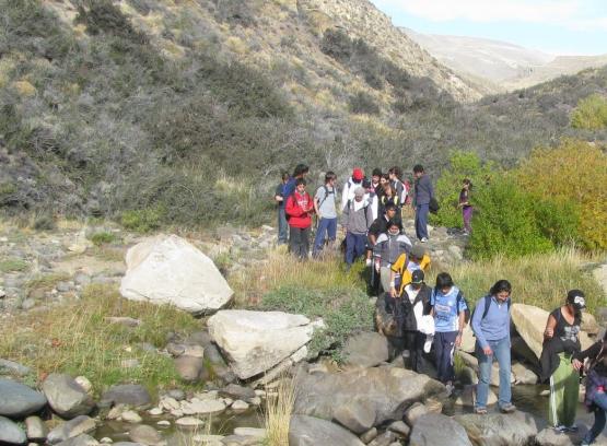 Más de 500 jóvenes participaron en los campamentos ambientales 2012