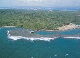 Capacitan a docentes en humedales