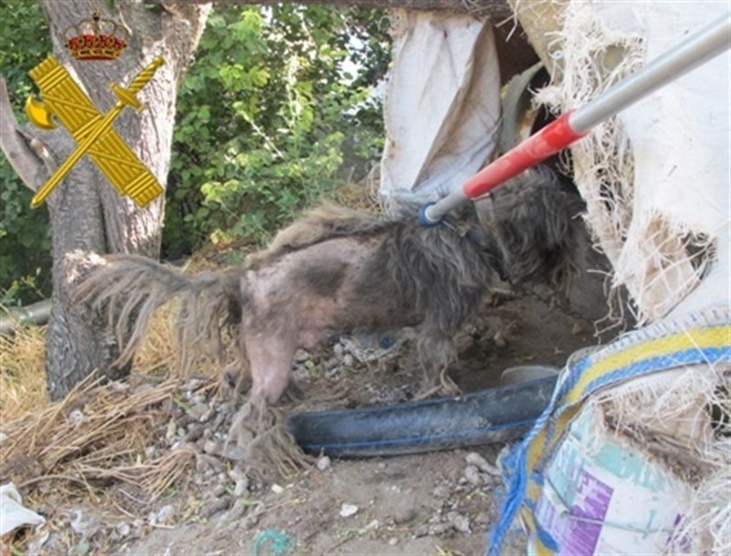 (Valladolid) ‘crónica de una muerte anunciada’