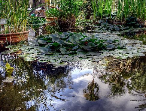 El Jardín Botánico de Valencia acoge hoy una exposición de fotografía sostenible