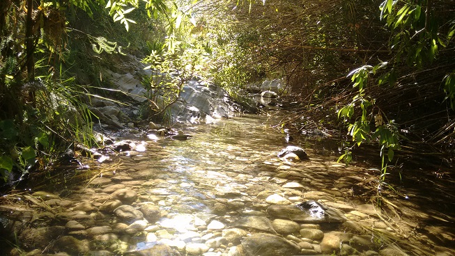 Basuras y masificación en espacios naturales protegidos  de la Costa del Sol (Barranco Blanco)