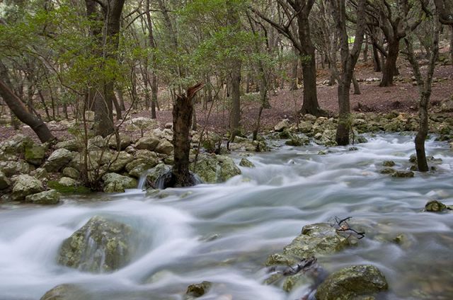Las Fonts Ufanes rebrotan después de las intensas lluvias registradas en los últimos días