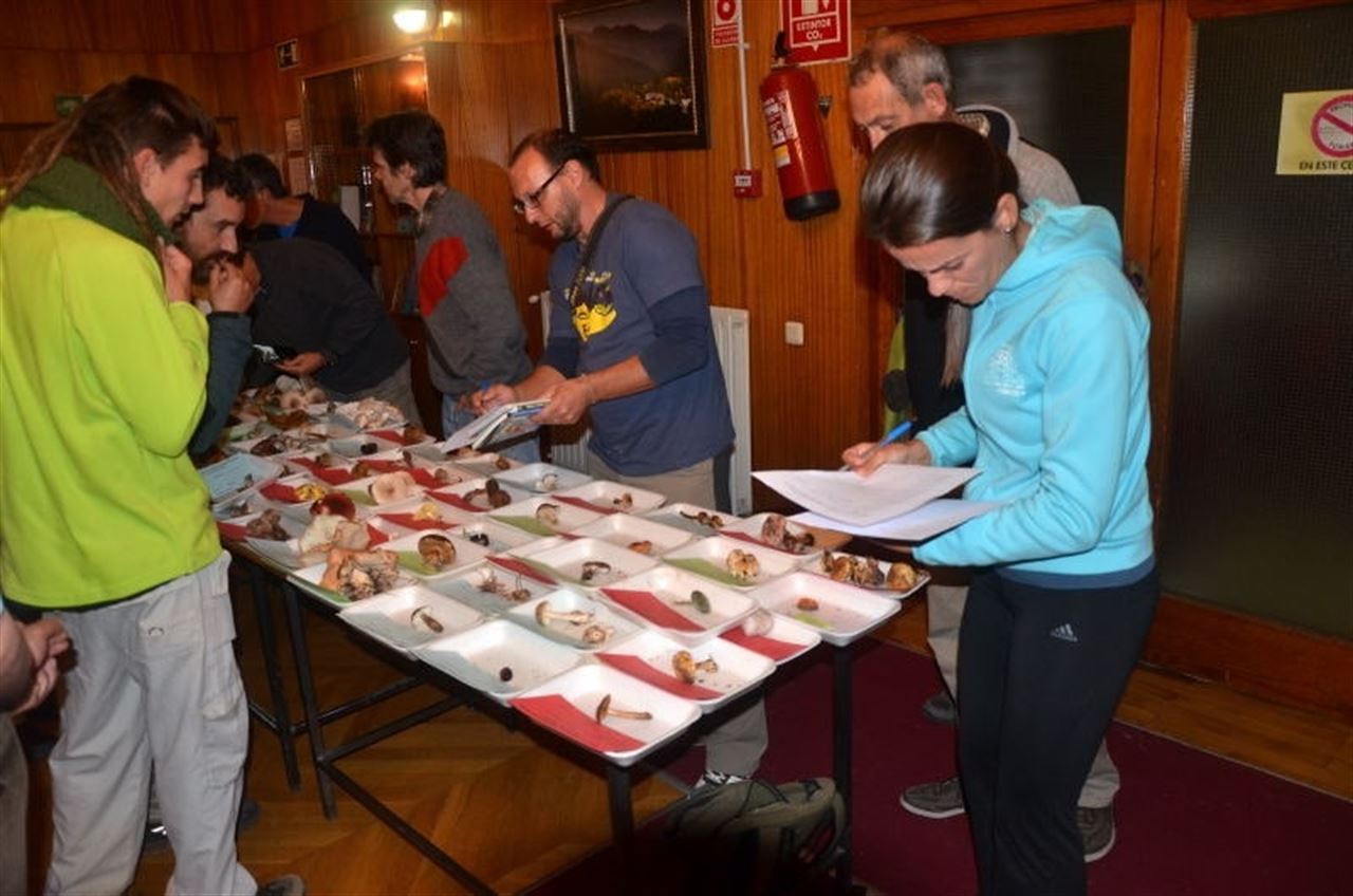 Curso sobre micología en el Centro de Capacitación y Experimentación Forestal en Cazorla (Jaén)