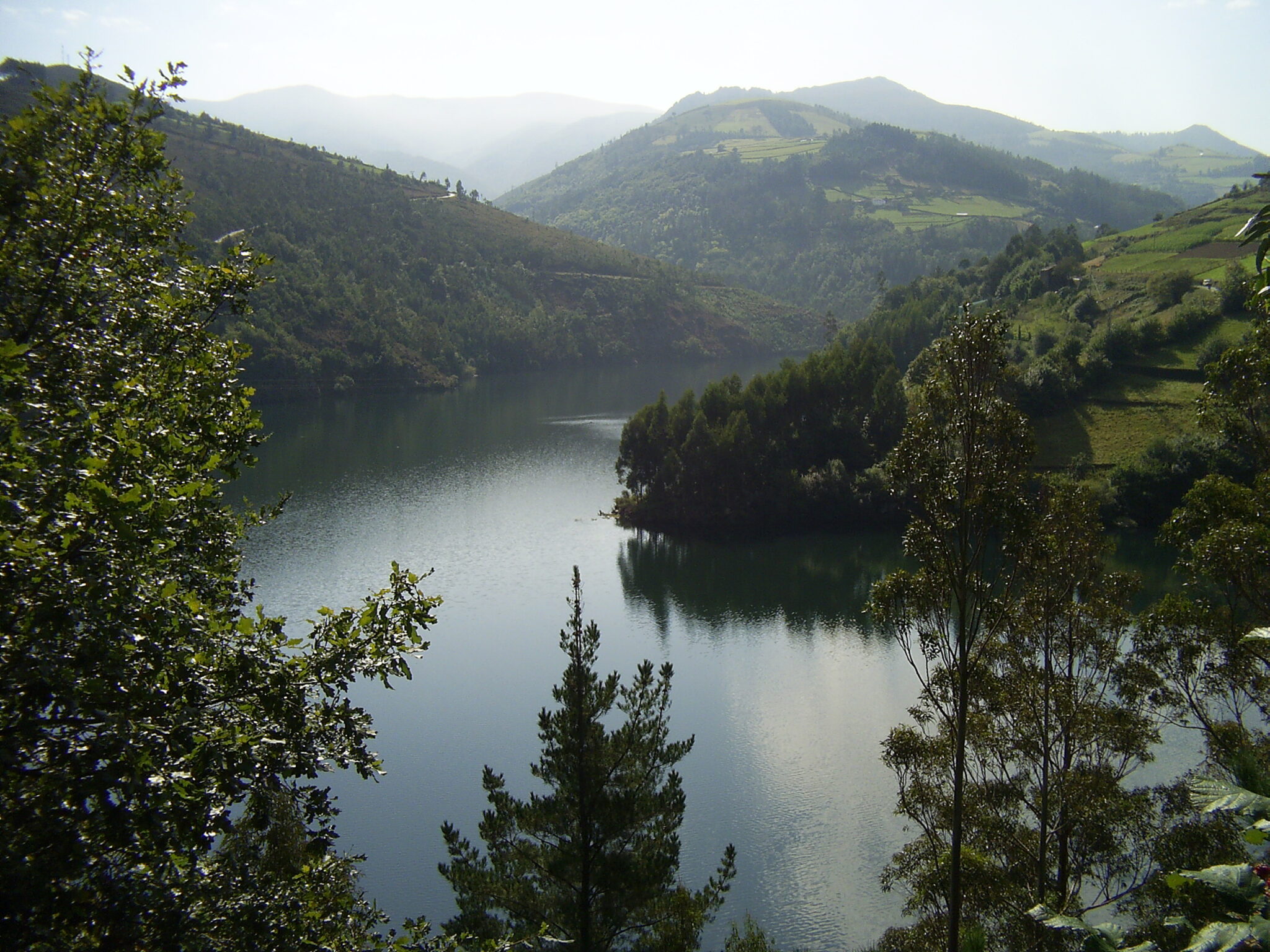 El Congreso demanda que no se construyan nuevos embalses en el río Navia