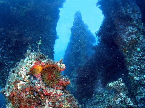 Concluyen la prospección de los fondos marinos de Marruecos